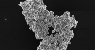 WHO-Richtlinien: Sicherer Umgang mit Nanomaterialien